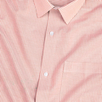 Peech Small Strip Down Button Oxford Cotton Shirt